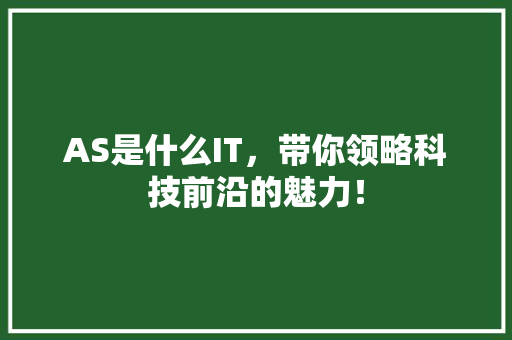 AS是什么IT，带你领略科技前沿的魅力！