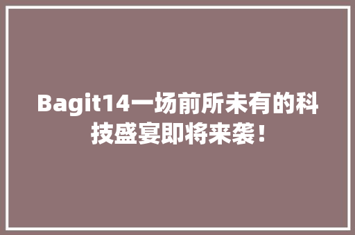 Bagit14一场前所未有的科技盛宴即将来袭！ seo技术