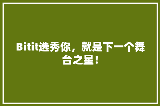 Bitit选秀你，就是下一个舞台之星！ 英文谷歌算法