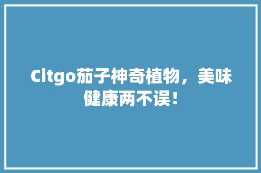 Citgo茄子神奇植物，美味健康两不误！ seo技术