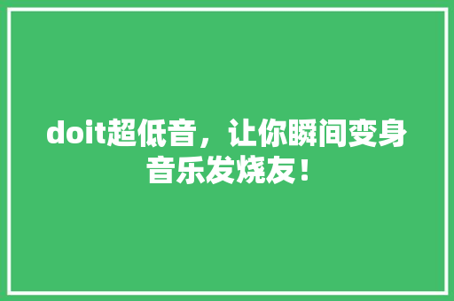 doit超低音，让你瞬间变身音乐发烧友！