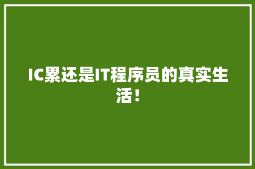 IC累还是IT程序员的真实生活！
