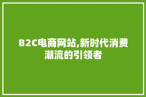 B2C电商网站,新时代消费潮流的引领者