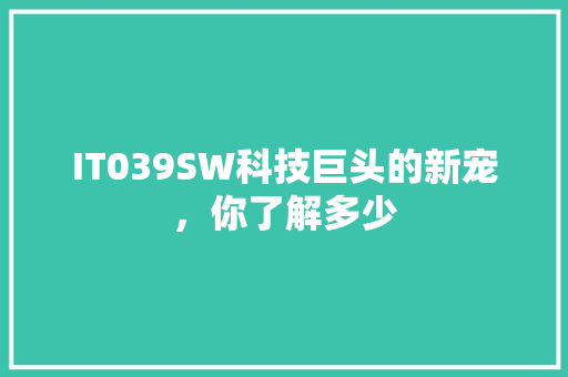 IT039SW科技巨头的新宠，你了解多少 英文谷歌算法