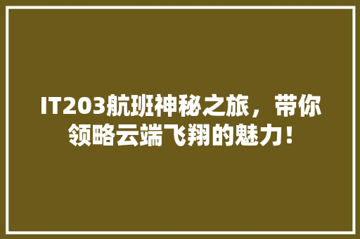 IT203航班神秘之旅，带你领略云端飞翔的魅力！