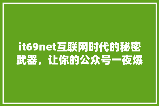 it69net互联网时代的秘密武器，让你的公众号一夜爆红！ 360搜优化