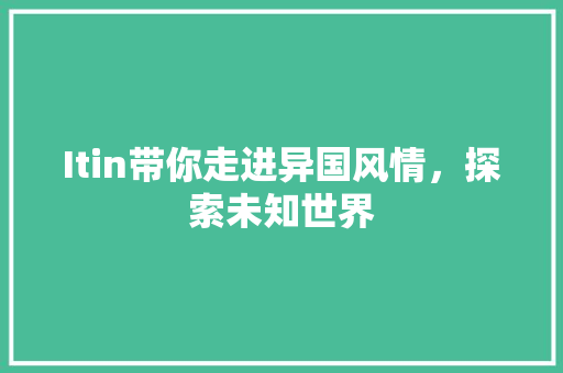 Itin带你走进异国风情，探索未知世界 seo技术