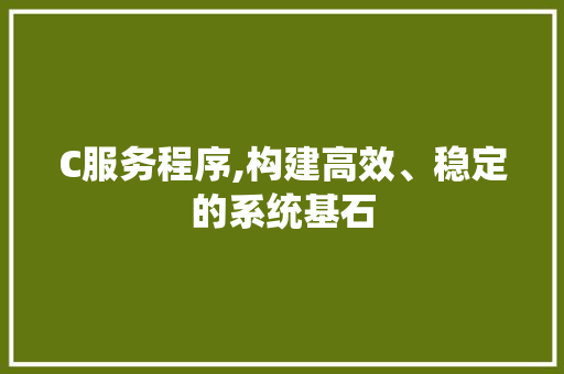 C服务程序,构建高效、稳定的系统基石 C服务程序,构建高效、稳定的系统基石 网站优化