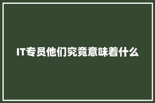 IT专员他们究竟意味着什么