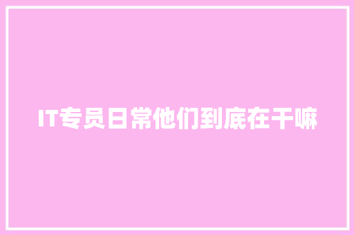 IT专员日常他们到底在干嘛