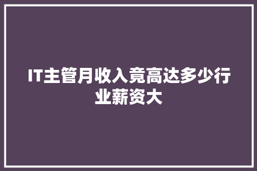 IT主管月收入竟高达多少行业薪资大