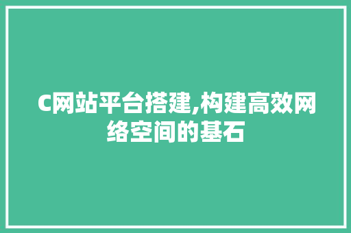 C网站平台搭建,构建高效网络空间的基石