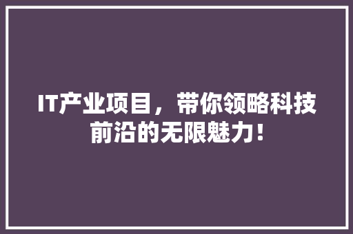 IT产业项目，带你领略科技前沿的无限魅力！ 英文谷歌算法