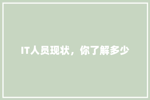 IT人员现状，你了解多少