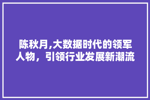 陈秋月,大数据时代的领军人物，引领行业发展新潮流