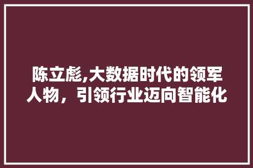 陈立彪,大数据时代的领军人物，引领行业迈向智能化未来