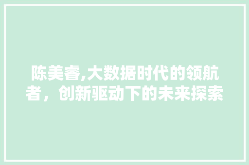 陈美睿,大数据时代的领航者，创新驱动下的未来探索