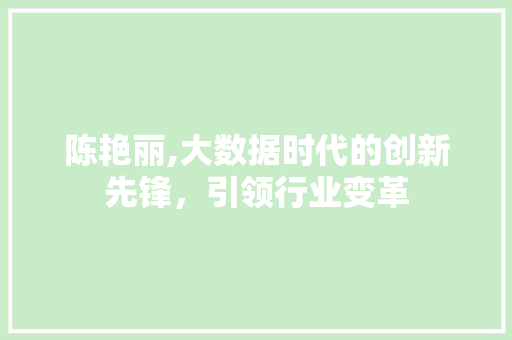 陈艳丽,大数据时代的创新先锋，引领行业变革 百度算法
