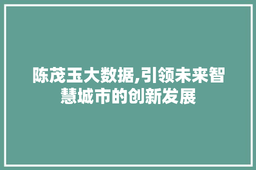 陈茂玉大数据,引领未来智慧城市的创新发展