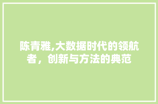 陈青雅,大数据时代的领航者，创新与方法的典范 小程序开发