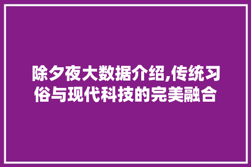 除夕夜大数据介绍,传统习俗与现代科技的完美融合