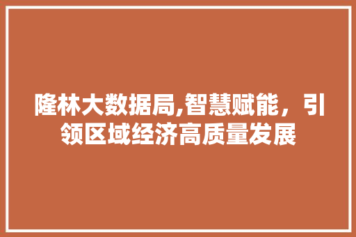 隆林大数据局,智慧赋能，引领区域经济高质量发展 头条优化