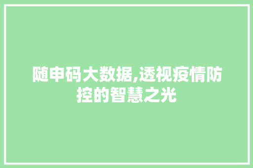 随申码大数据,透视疫情防控的智慧之光