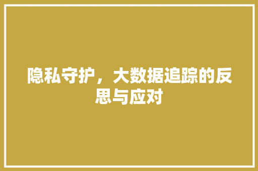隐私守护，大数据追踪的反思与应对