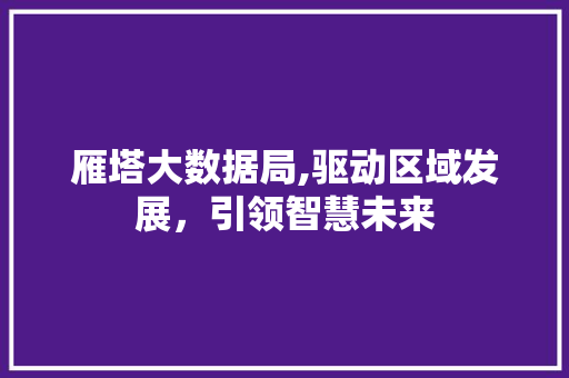 雁塔大数据局,驱动区域发展，引领智慧未来