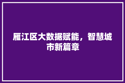 雁江区大数据赋能，智慧城市新篇章