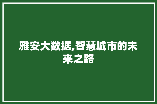 雅安大数据,智慧城市的未来之路 seo技术