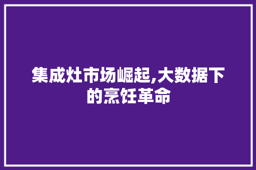 集成灶市场崛起,大数据下的烹饪革命 seo技术