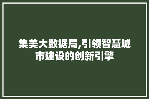 集美大数据局,引领智慧城市建设的创新引擎