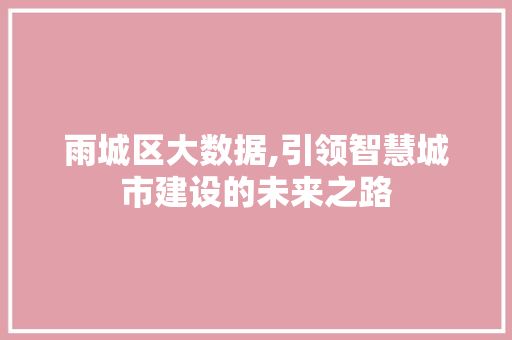 雨城区大数据,引领智慧城市建设的未来之路