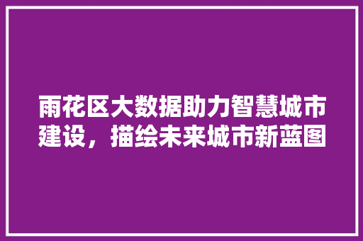 雨花区大数据助力智慧城市建设，描绘未来城市新蓝图