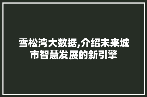 雪松湾大数据,介绍未来城市智慧发展的新引擎