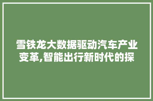 雪铁龙大数据驱动汽车产业变革,智能出行新时代的探索