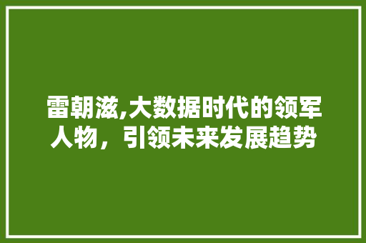 雷朝滋,大数据时代的领军人物，引领未来发展趋势 百度算法