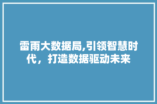 雷雨大数据局,引领智慧时代，打造数据驱动未来 小程序开发
