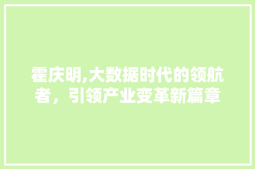 霍庆明,大数据时代的领航者，引领产业变革新篇章