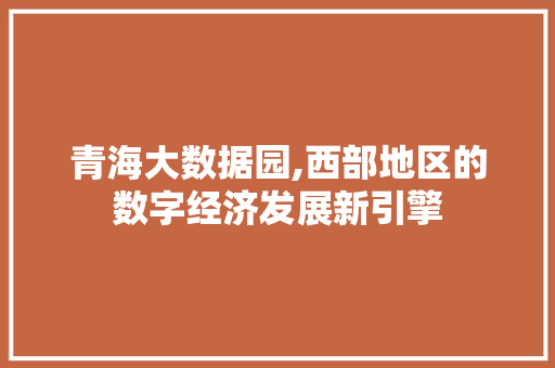 青海大数据园,西部地区的数字经济发展新引擎