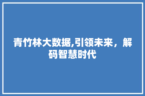 青竹林大数据,引领未来，解码智慧时代