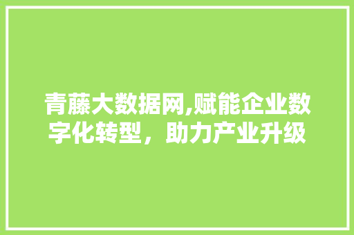 青藤大数据网,赋能企业数字化转型，助力产业升级