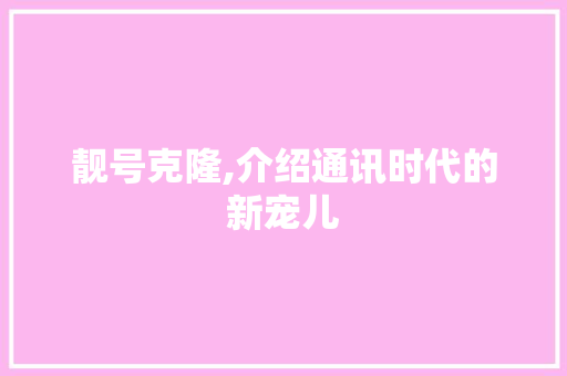 靓号克隆,介绍通讯时代的新宠儿