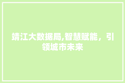 靖江大数据局,智慧赋能，引领城市未来 360搜优化