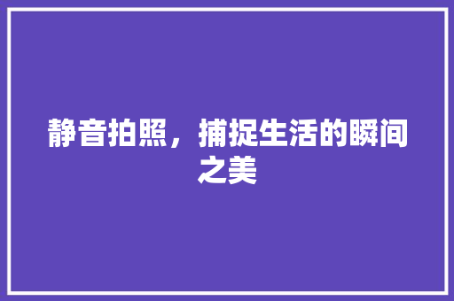 静音拍照，捕捉生活的瞬间之美