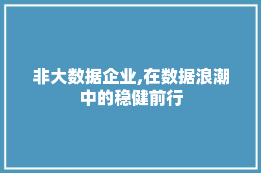 非大数据企业,在数据浪潮中的稳健前行