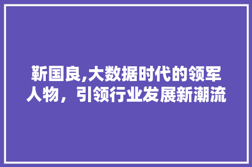 靳国良,大数据时代的领军人物，引领行业发展新潮流