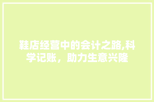 鞋店经营中的会计之路,科学记账，助力生意兴隆