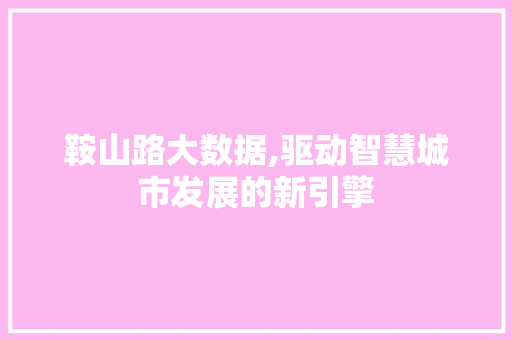 鞍山路大数据,驱动智慧城市发展的新引擎 搜狗优化